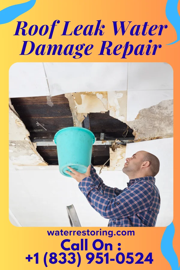 Roof Leak Water Damage Repair in Defiance, OH