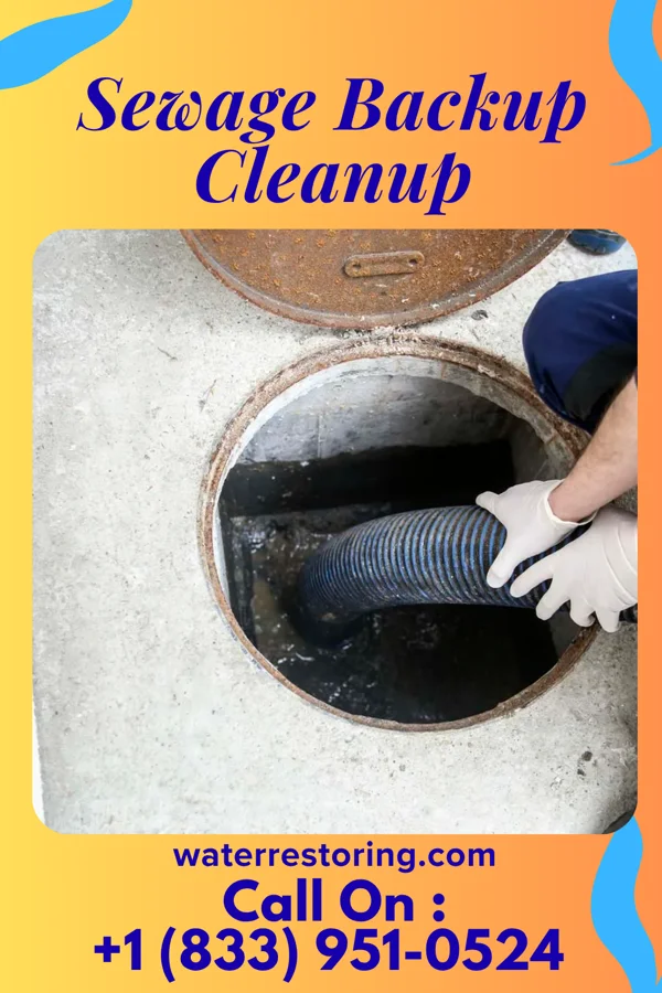 Sewage Backup Cleanup in Defiance, OH