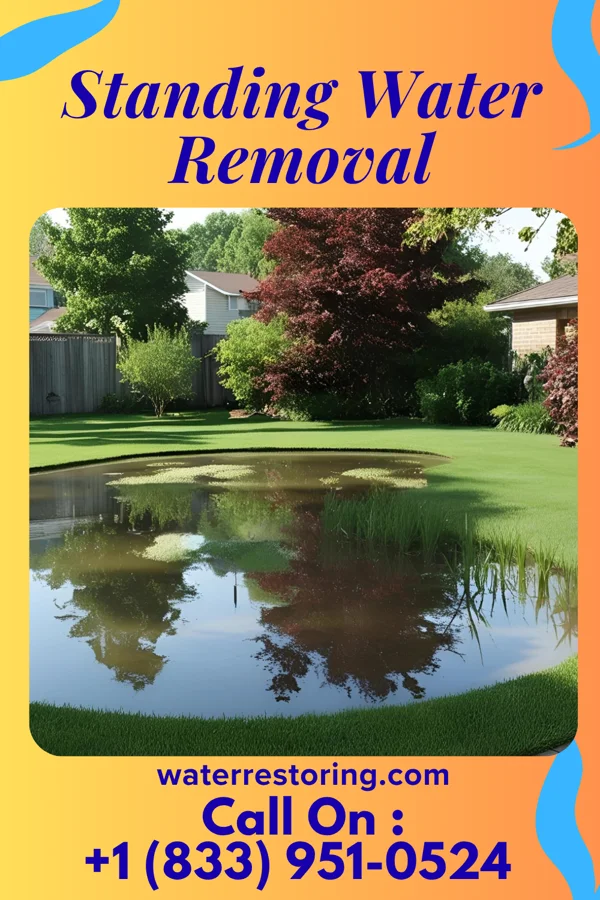 Standing Water Removal in Defiance, OH